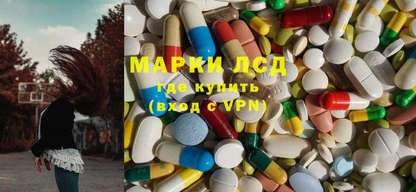 дмт Алзамай