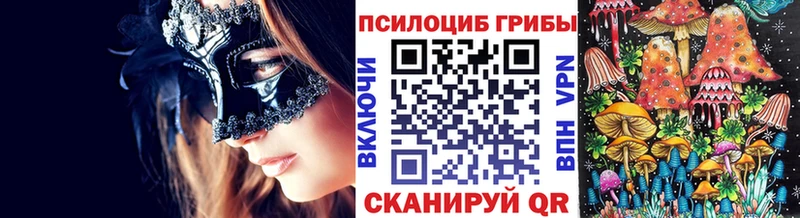 закладки Десногорск Псилоцибиновые грибы GOLDEN TEACHER